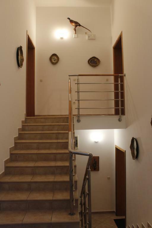 Apartmani Zeljko Metajna Exterior foto